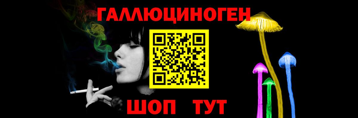 Псилоцибиновые грибы Psilocybe Элиста